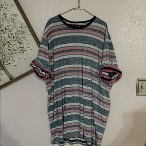 The Foundry Supply Co. Blue and Pink Striped Shirt